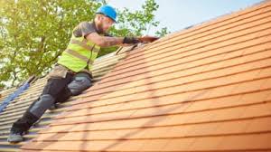 Best Roof Ventilation Installation  in Laughlin, NV