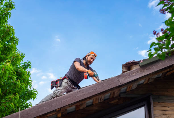 Best Roof Leak Repair  in Laughlin, NV